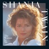 Shania Twain - Any Man Of Mine